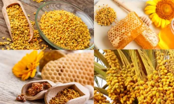 Polenin Yararları: Doğanın Gücüyle Sağlık